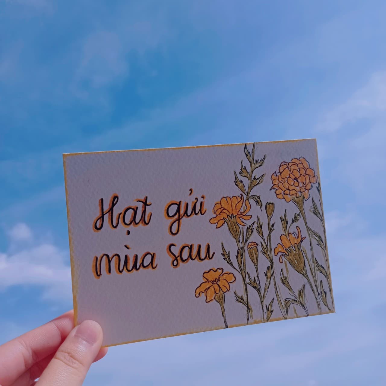 Tấm thiệp Hạt gửi mùa sau dưới bầu trời xanh